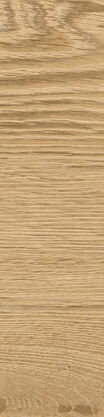 Fliese im Dielenformat mit Holzoptik
